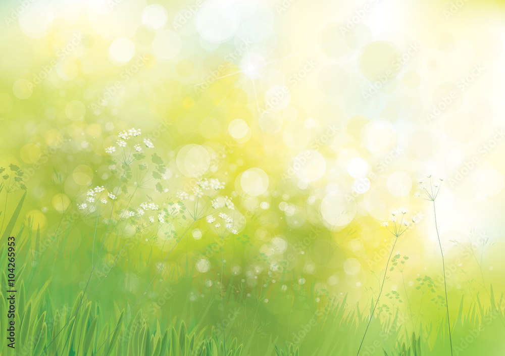 Vector green  nature background.