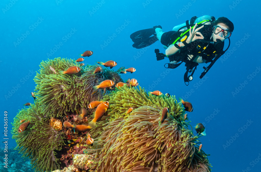 Scuba diver explore a coral reef showing ok sign