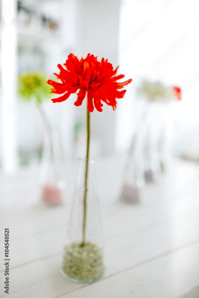 Red flower as decorative elements