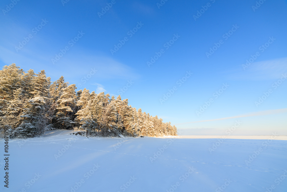 冰雪覆盖的湖泊和森林