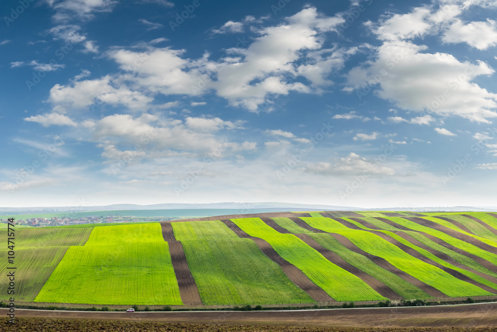 Landscape with Agricultural Fields