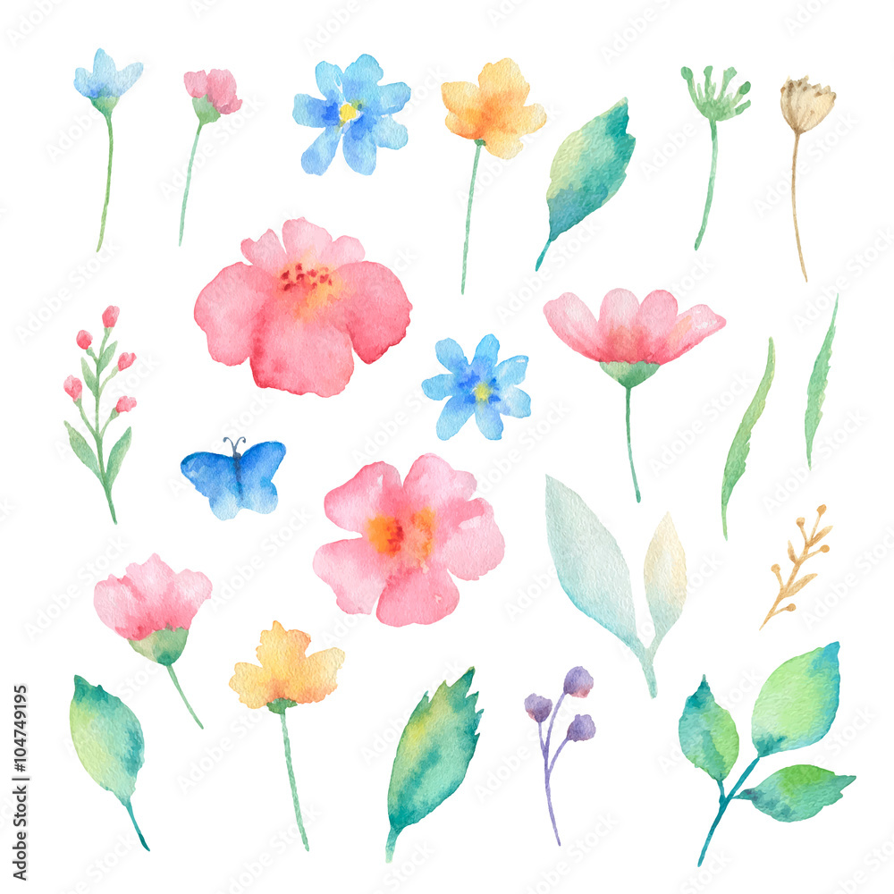 Watercolor set of flowers.