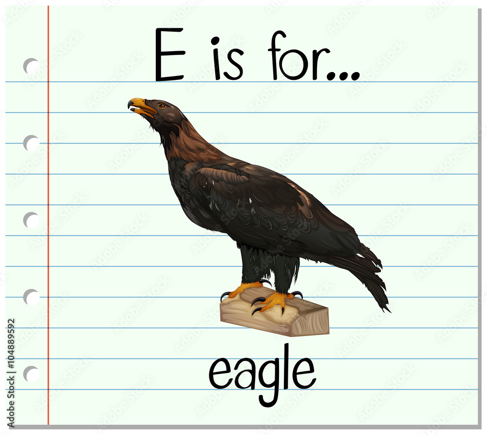 Flashcard letter E is for eagle