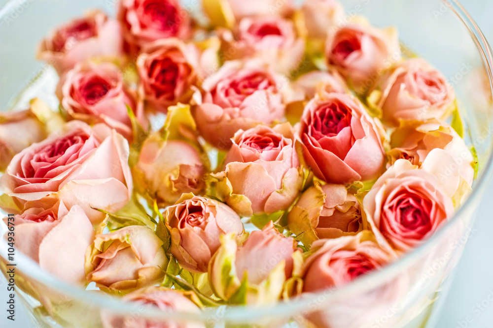 Red roses close up in vase as background.