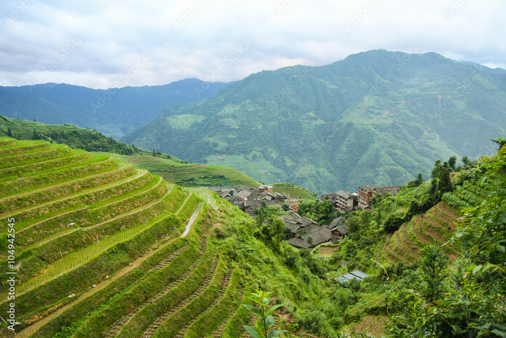 龙胜梯田中国