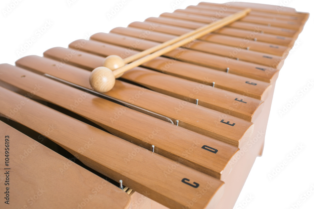 The xylophone and two mallets on the white background