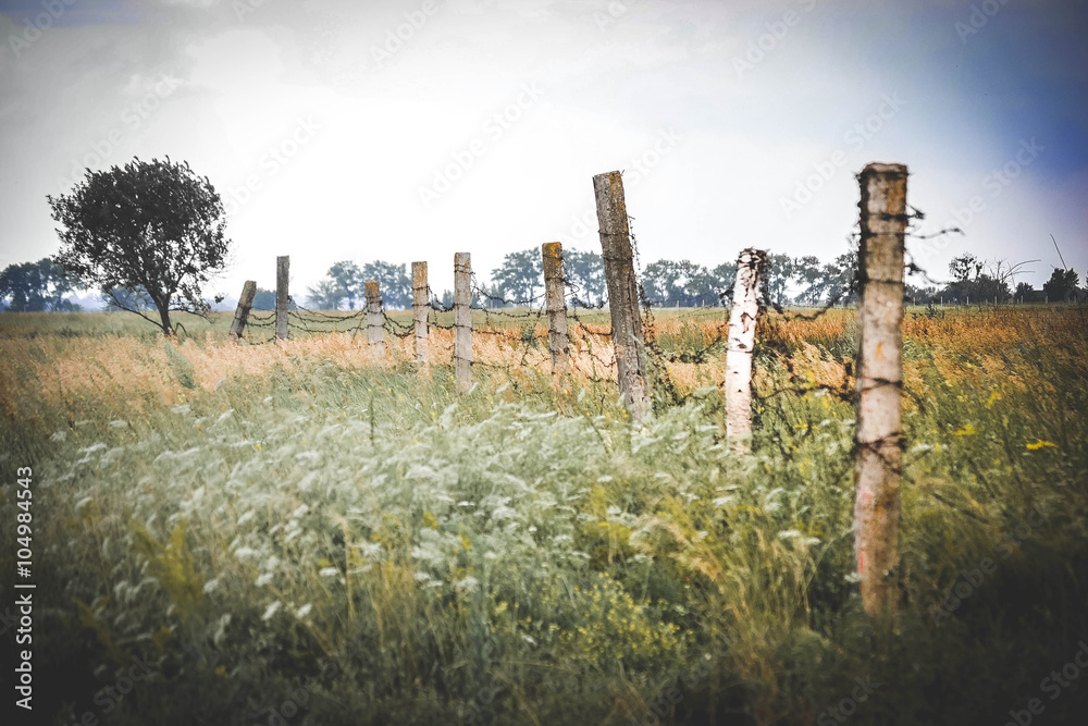 Concrete posts topped with barbed 