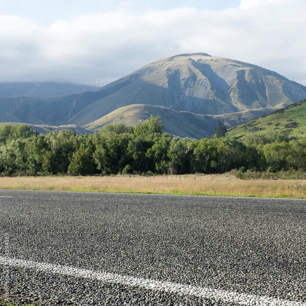 asphalt road near pasture in summer day in New Zealand