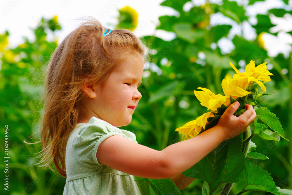 girl in the sunflowers