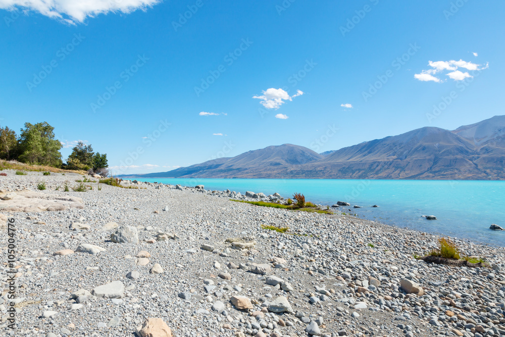 新西兰夏日湖边空地