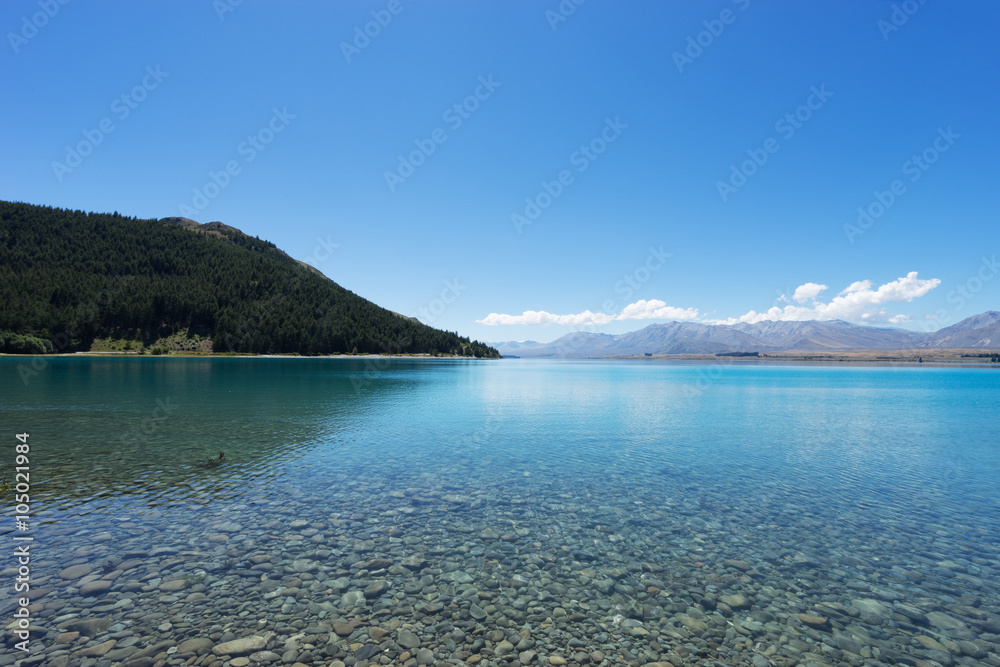 landscape of lake in summer day in new zealand