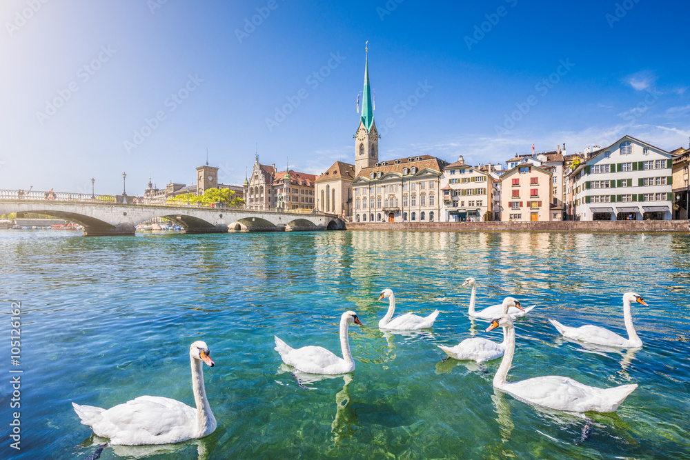 Zürich city center with swans on Limmat river, Switzerland