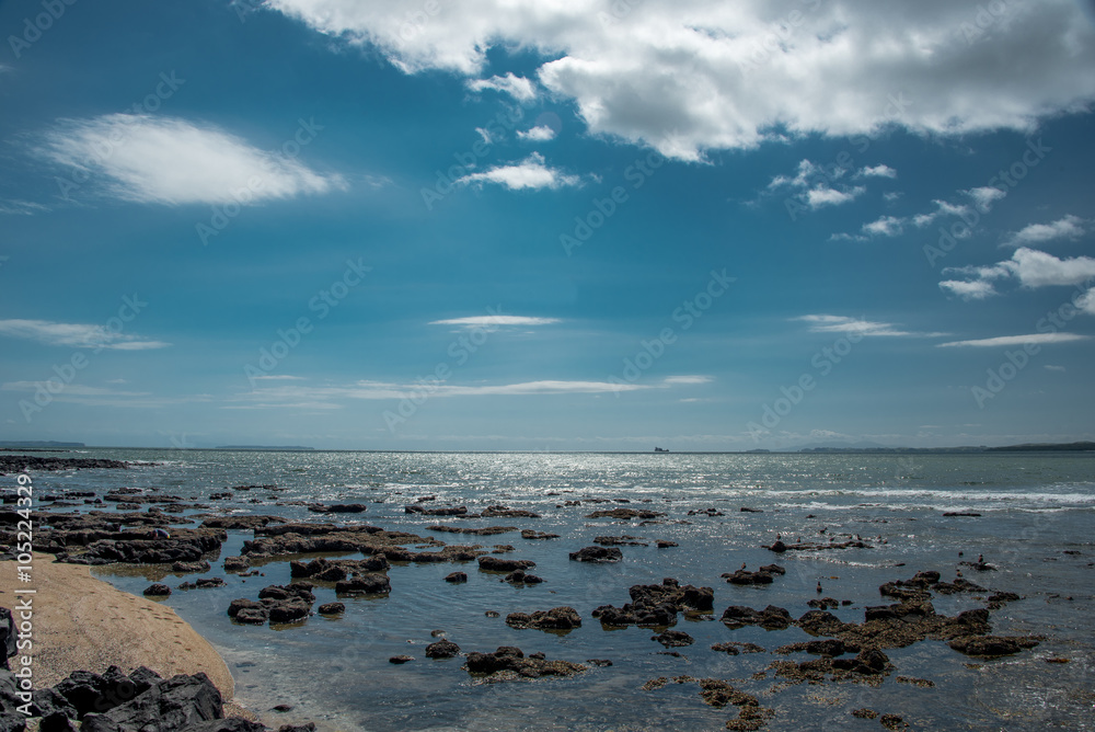 Pacific ocean coastline in New zealand