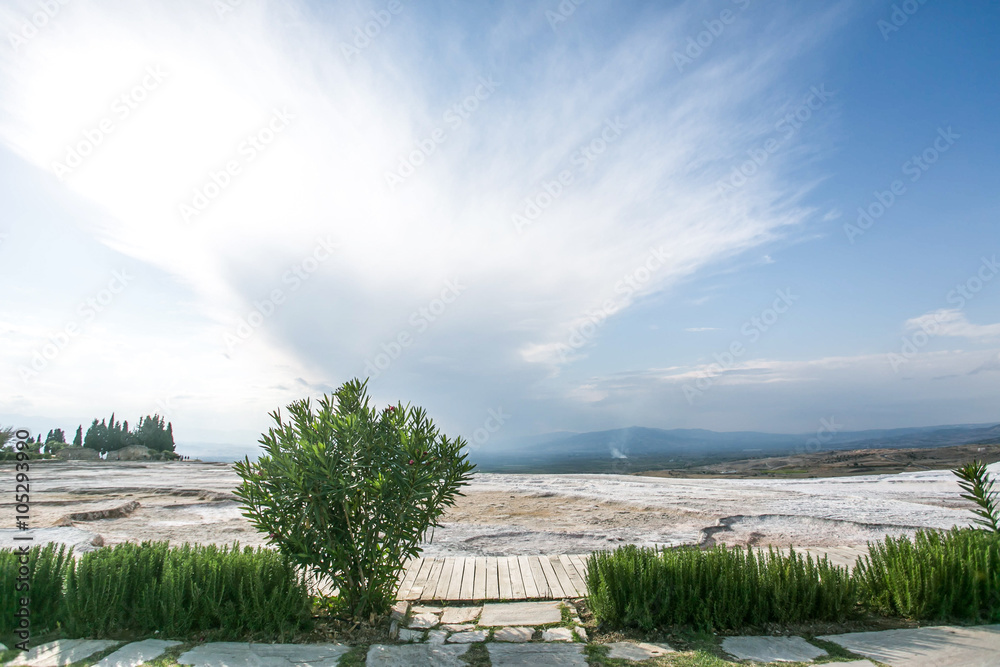 Green and stone landscape