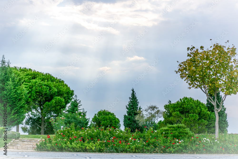 Nature landscape with sun rays peeking through the clouds