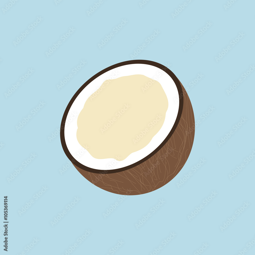 Coconut  Fruit Icon