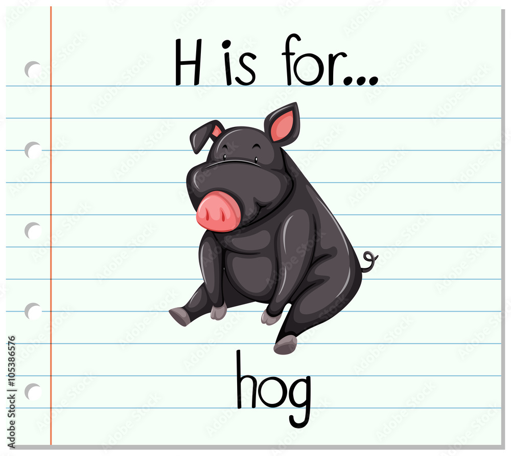 Flashcard letter H is for hog