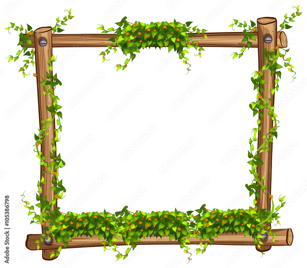 Frame with vine and flowers