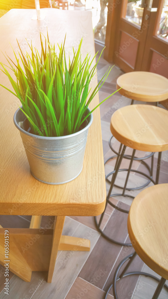 Little Green tree pots decoration on wooden table in cafe.jpg