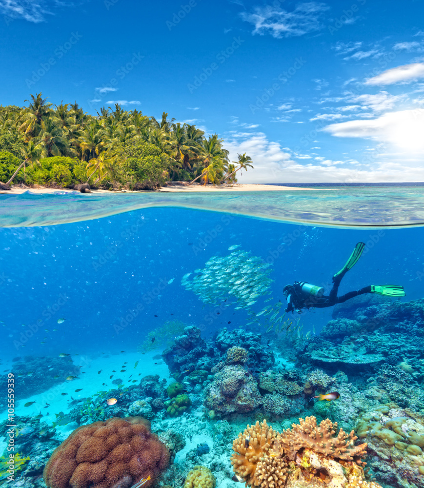 Underwater coral reef with scuba diver