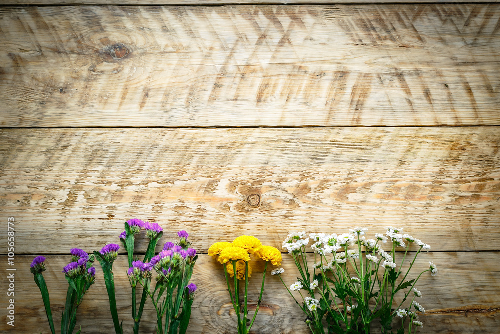 Spring flowers on wooden board