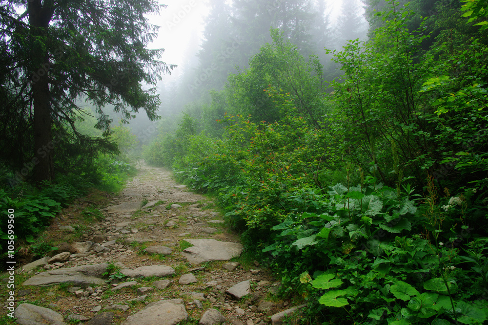 stone road in the mountains