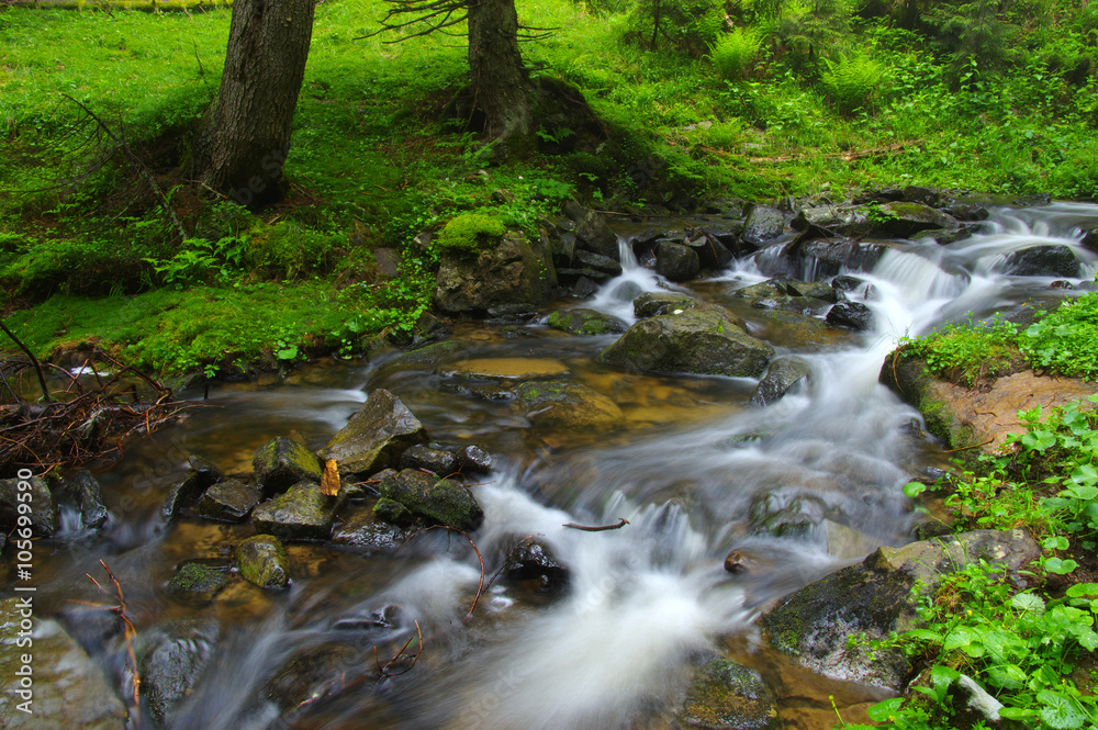 Creek in the woods