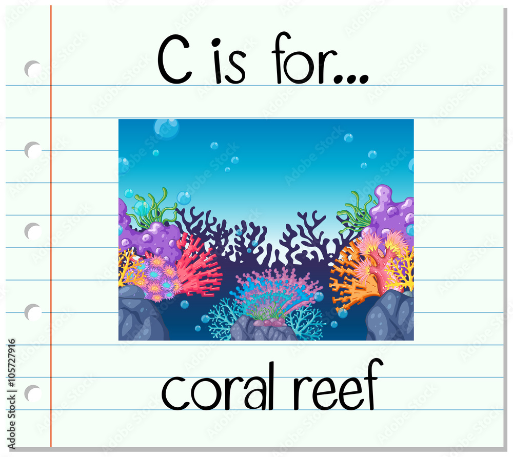 Flashcard letter C is for coral reef