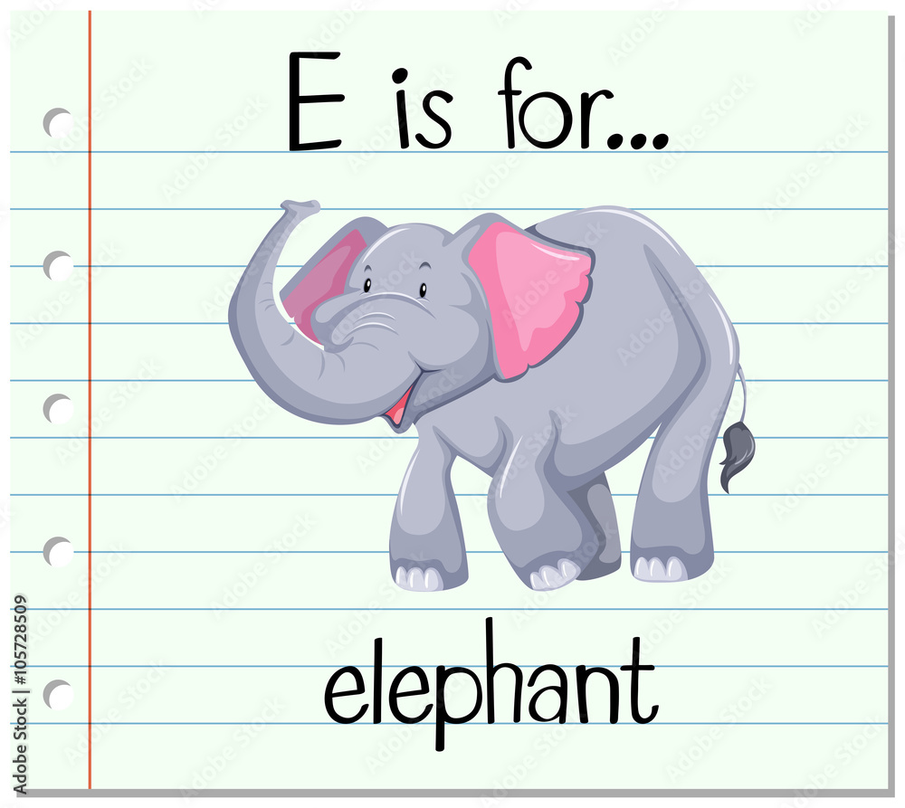 Flashcard alphabet E is for elephant