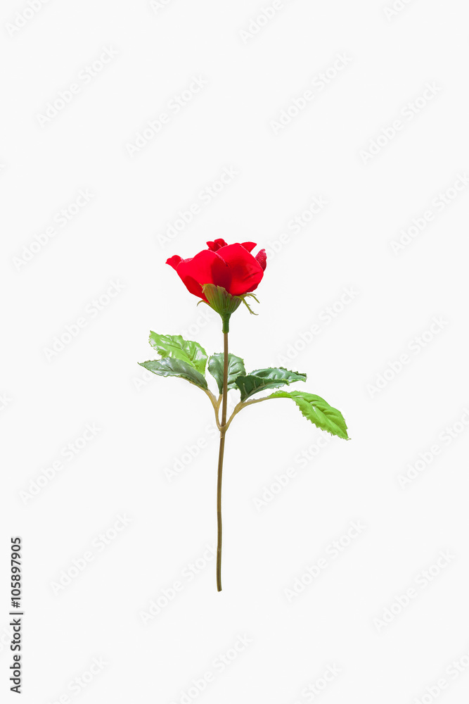 red rose flower, beautiful plastic rose flower.