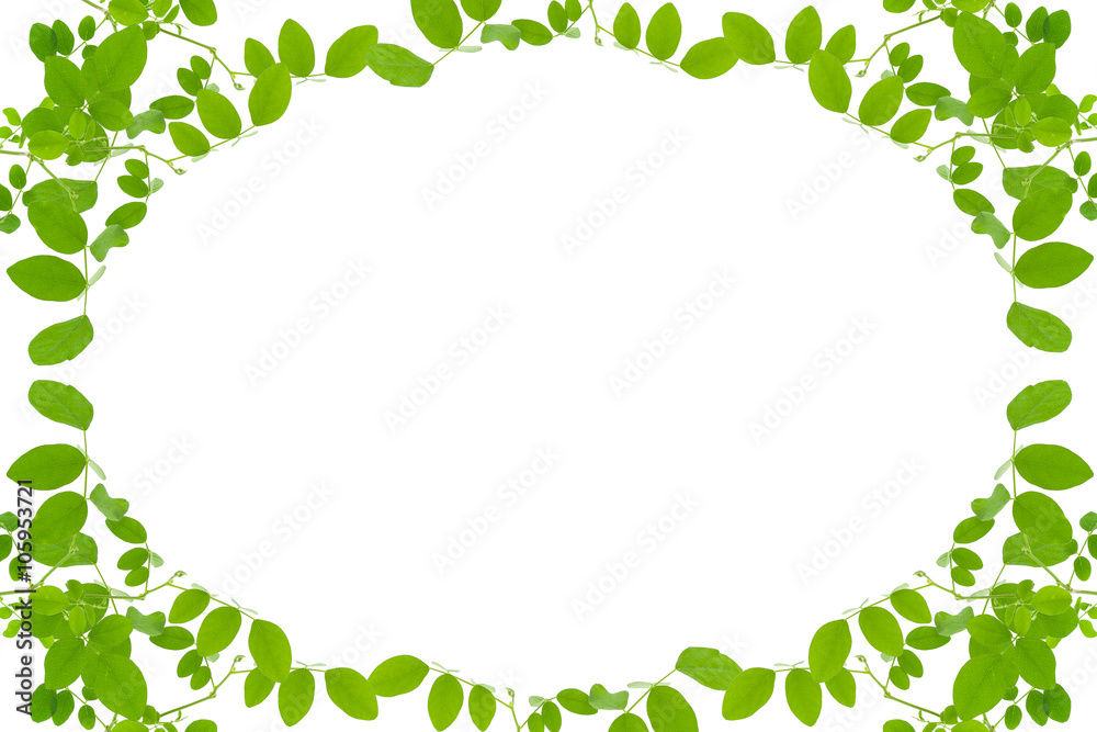 Green leaves frame isolated on white background .