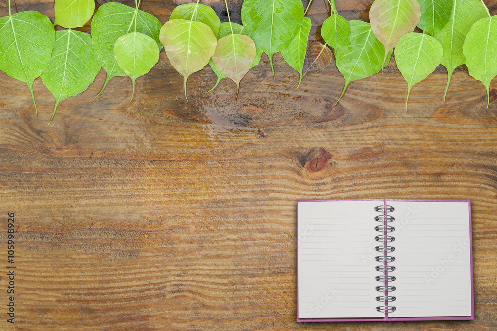 fresh green leaves and water drop on wood background with copy s