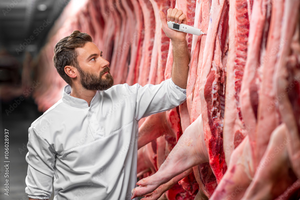 Butcher measuring pork temperature in the refrigerator at the meat manufacturing