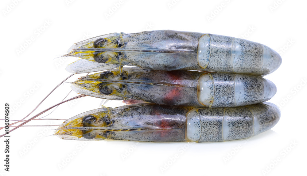 Fresh raw tiger prawns. Isolated on white background