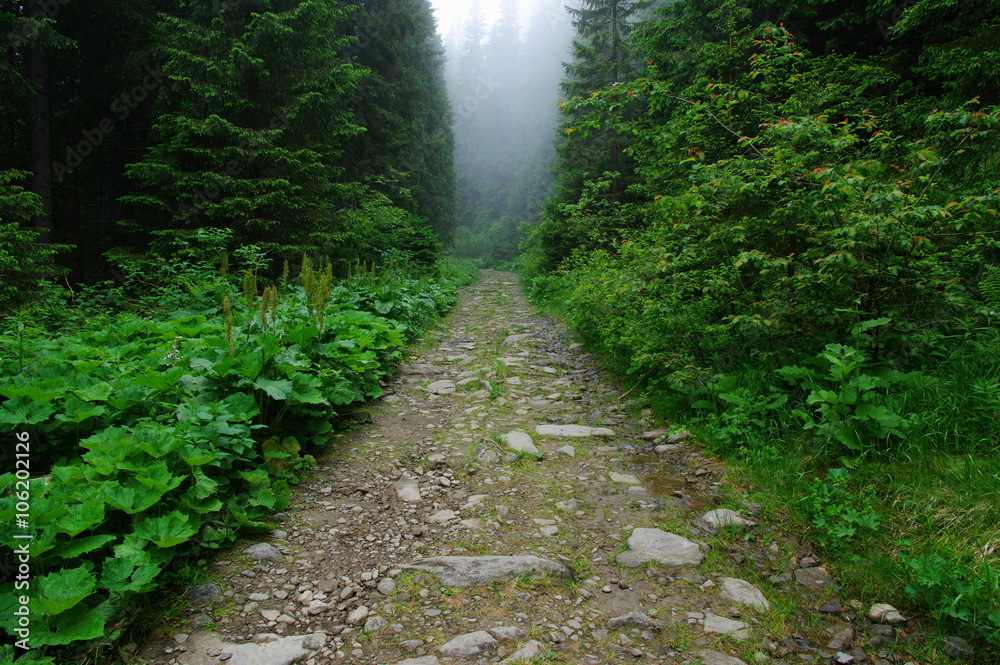 山中石路