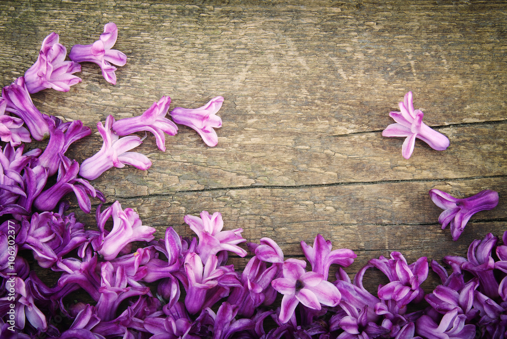 Spring blossoms