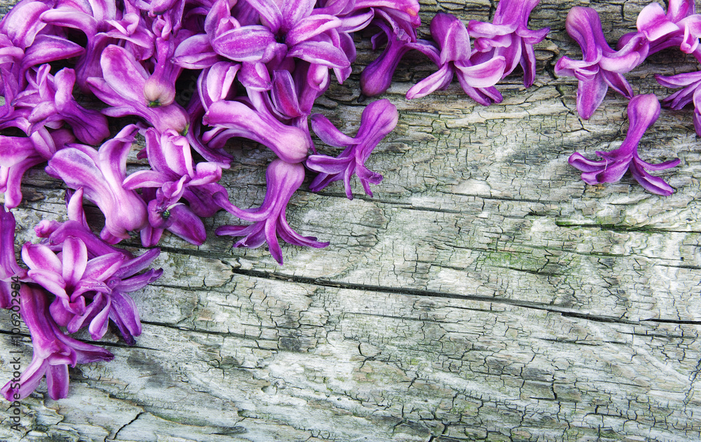 Spring blossoms