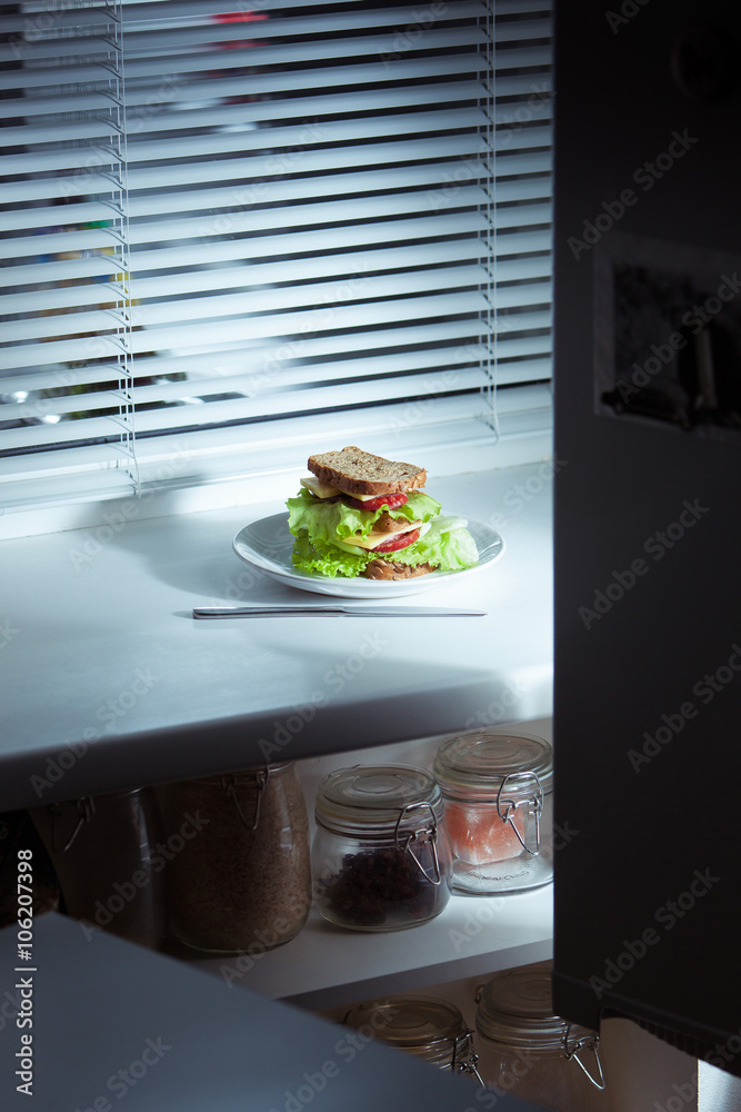 Fresh and tasty sandwich on the plate