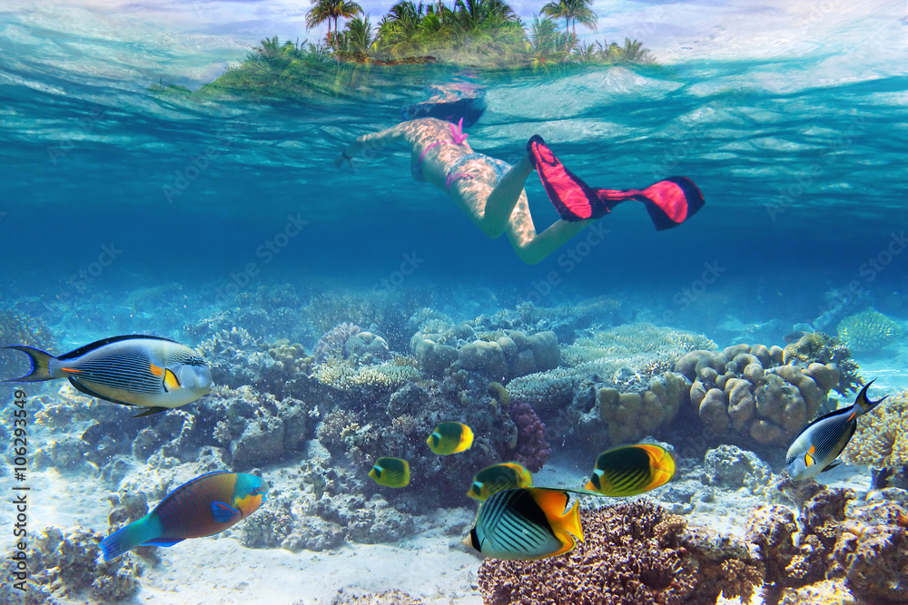 Beautiful women snorkeling in the tropical sea