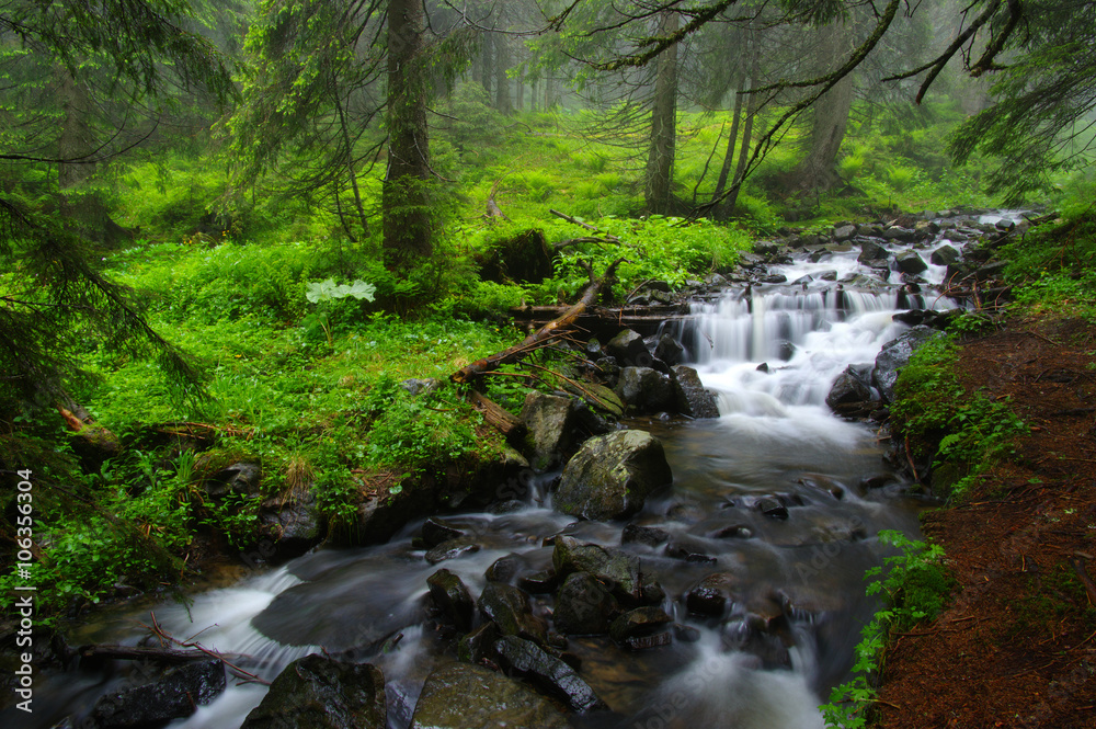 Creek in the woods