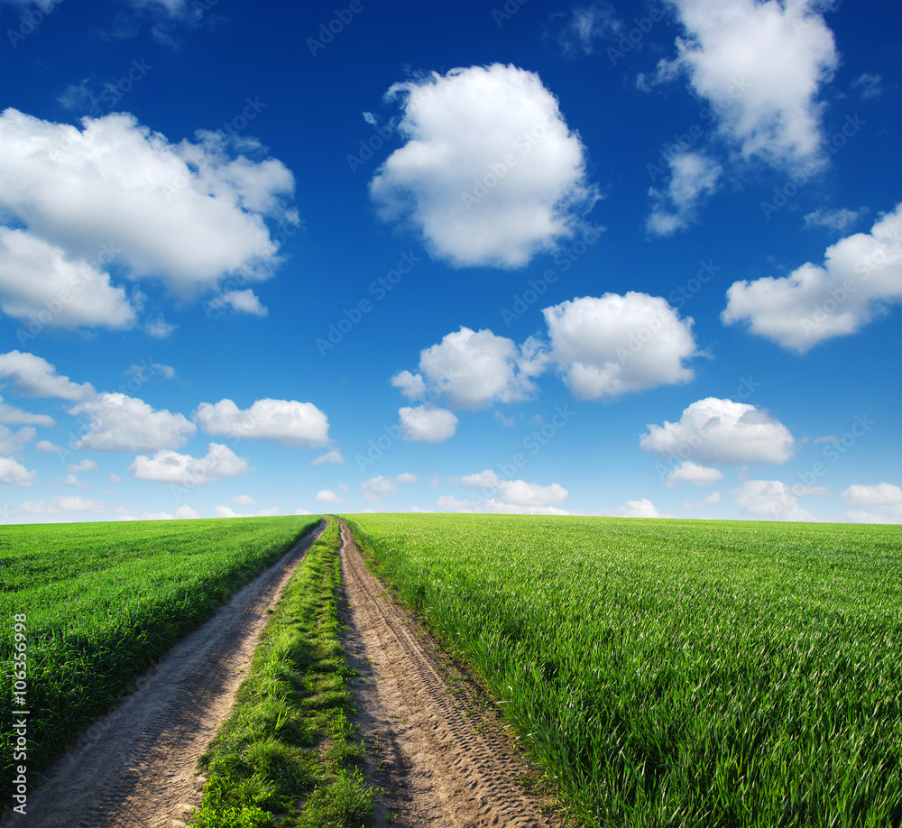 road in field