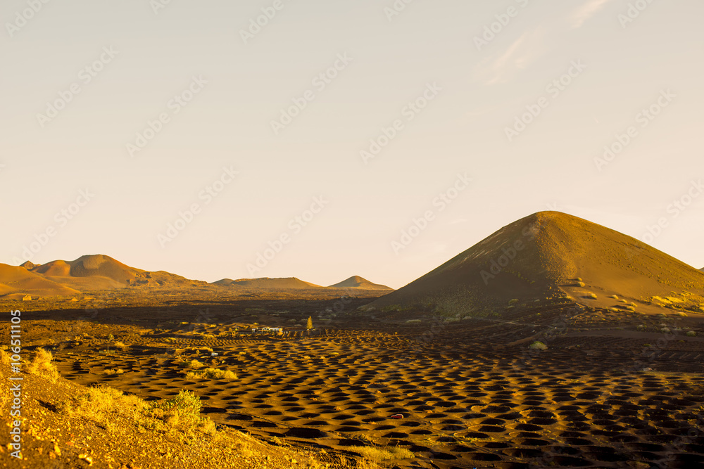 早上在Lanzarote islan的La Geria村附近的火山葡萄园和葡萄园的俯视图