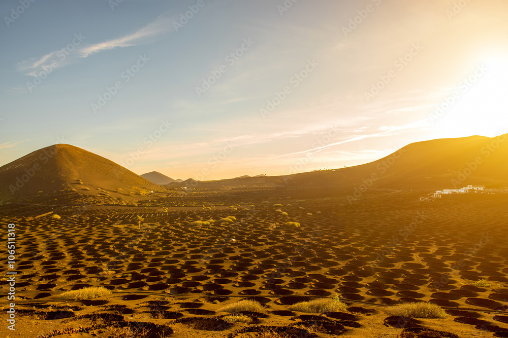 Lanzarote islan上La Geria村附近的火山葡萄园俯视图