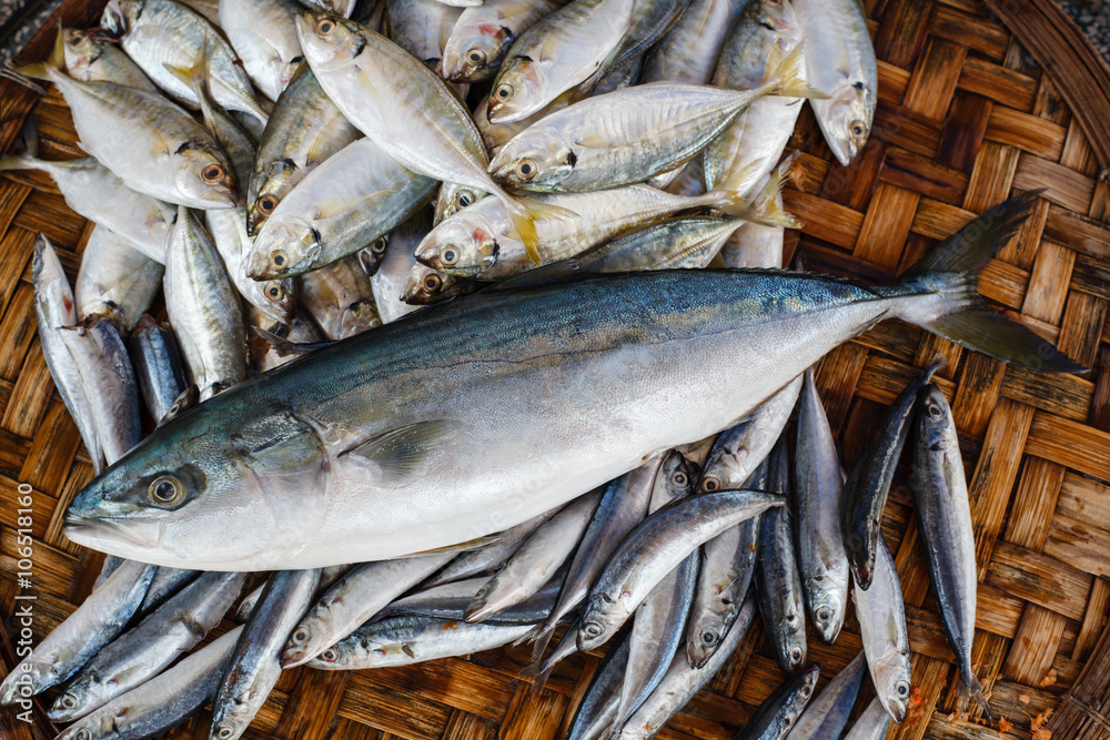 Fresh tuna fish in market. Seafood background.