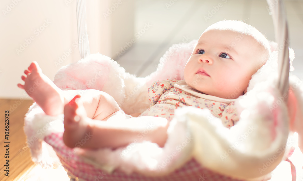 Newborn baby girl in a basket