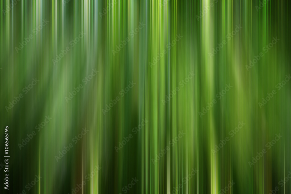 Bamboo grove, abstract