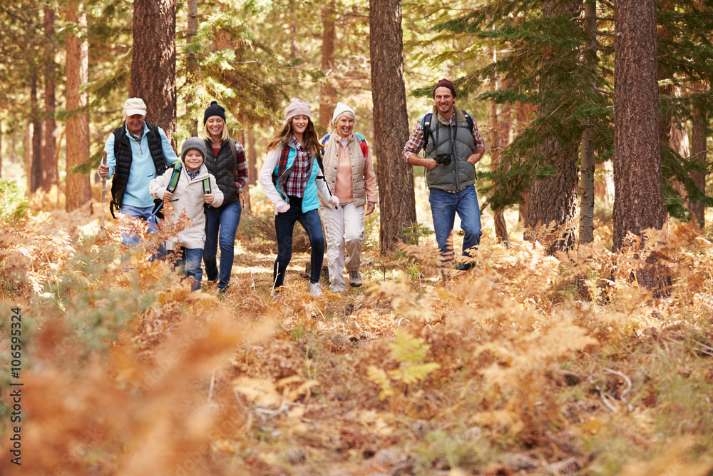 Multi generation family hiking in a forest, foreground space