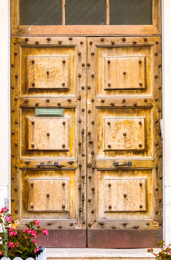 brown wood old door  - classical facade background