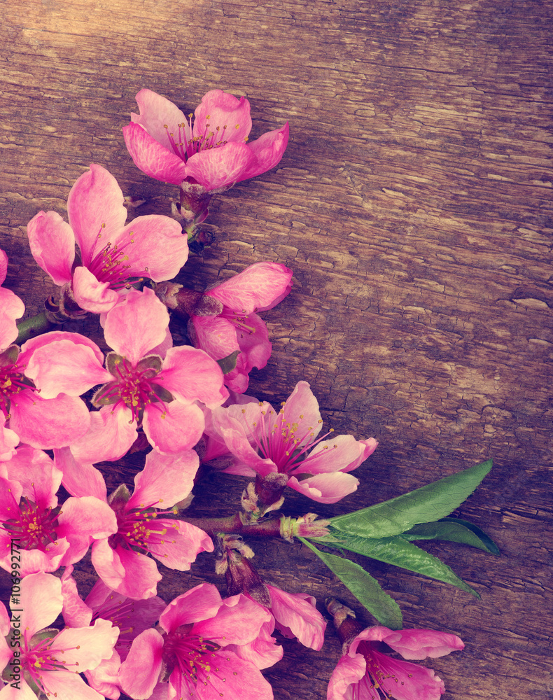 Spring blossoms