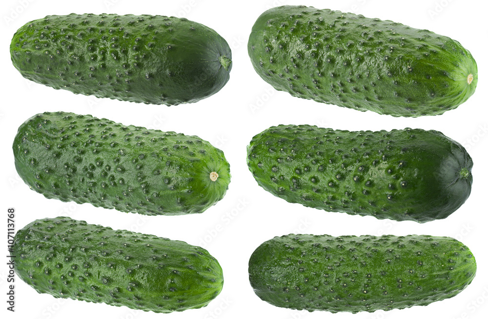 Сucumber on white collection